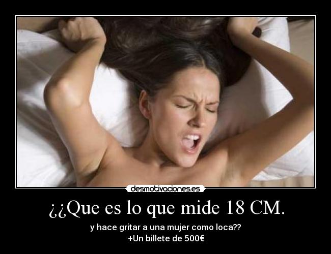 ¿¿Que es lo que mide 18 CM. - 