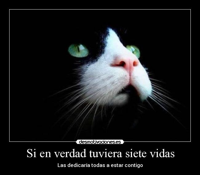 Si en verdad tuviera siete vidas -