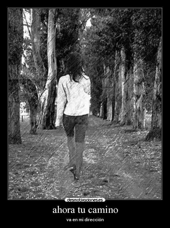 ahora tu camino - 