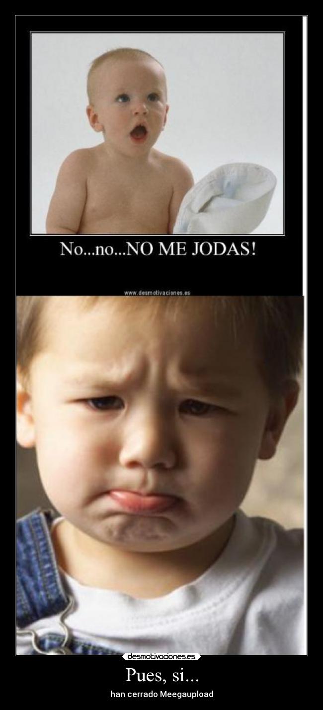 Pues, si... - han cerrado Meegaupload