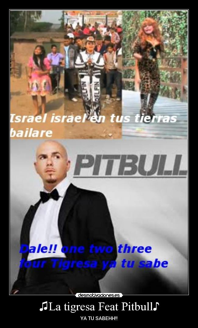 carteles pitbull tigresa musica asco tigresa feat pitbull pena muerte desmotivaciones