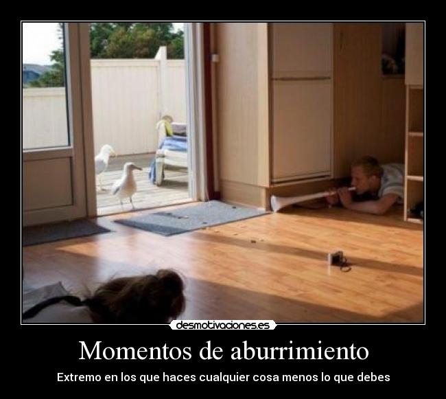 Momentos de aburrimiento - 