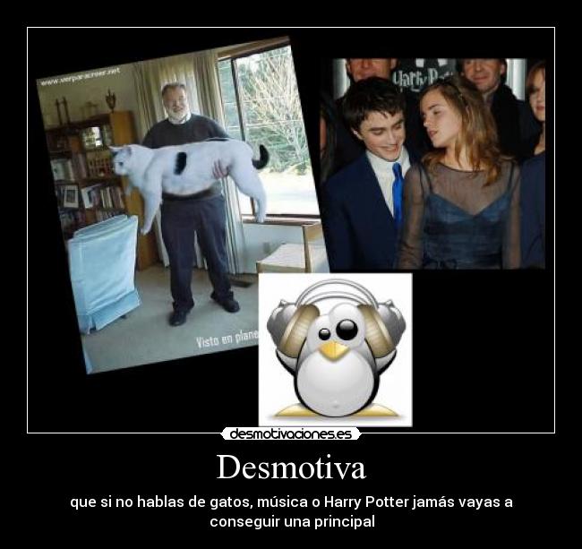Desmotiva - que si no hablas de gatos, música o Harry Potter jamás vayas a
conseguir una principal