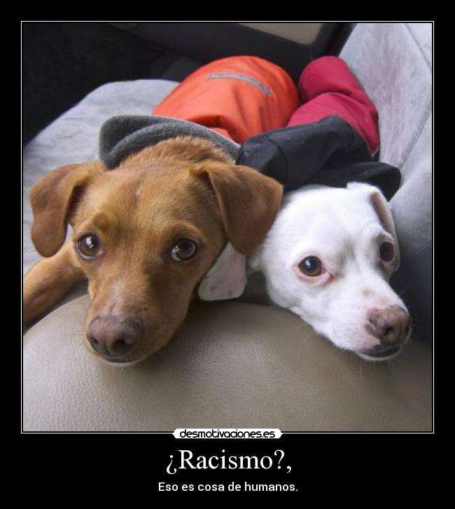 ¿Racismo?, - 
