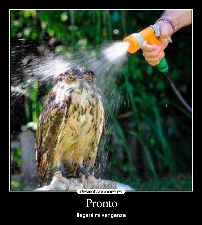 Pronto - llegará mi venganza