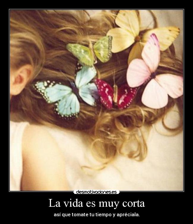 La vida es muy corta -