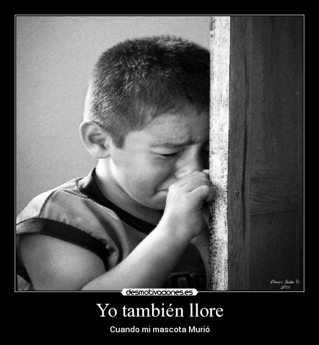 Yo también llore - 