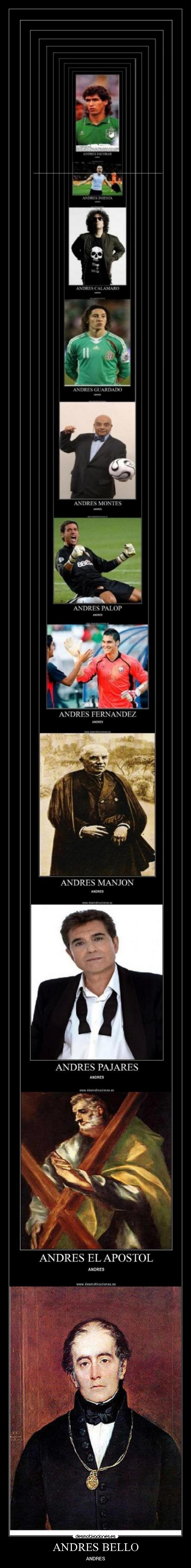 ANDRES BELLO - ANDRES