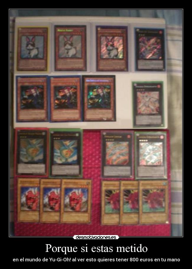 Porque si estas metido - en el mundo de Yu-Gi-Oh! al ver esto quieres tener 800 euros en tu mano