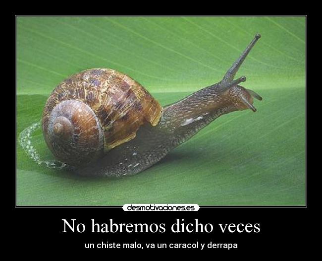 No habremos dicho veces - 