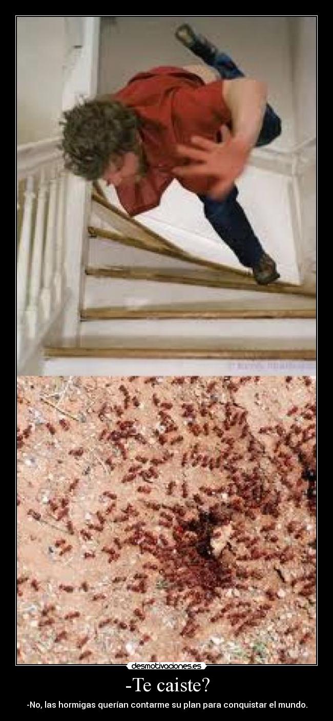 -Te caiste? - -No, las hormigas querían contarme su plan para conquistar el mundo.