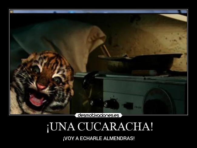 ¡UNA CUCARACHA! - 