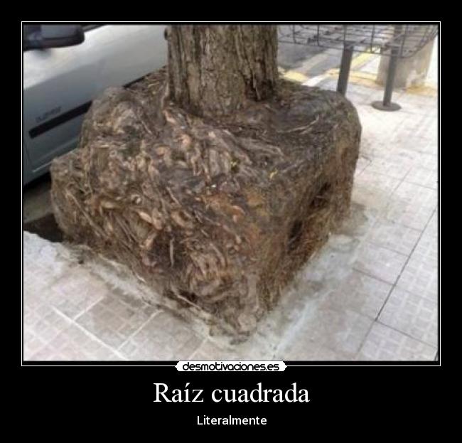 Raíz cuadrada - Literalmente