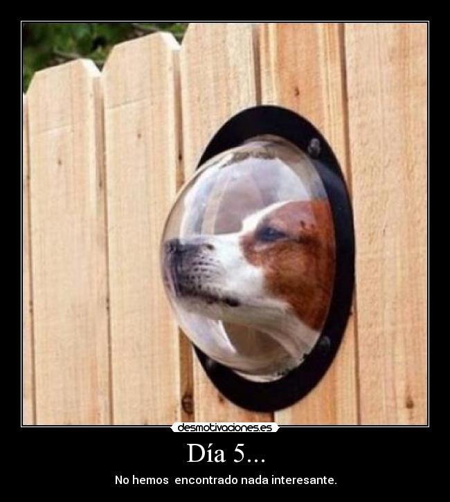 Día 5... - 