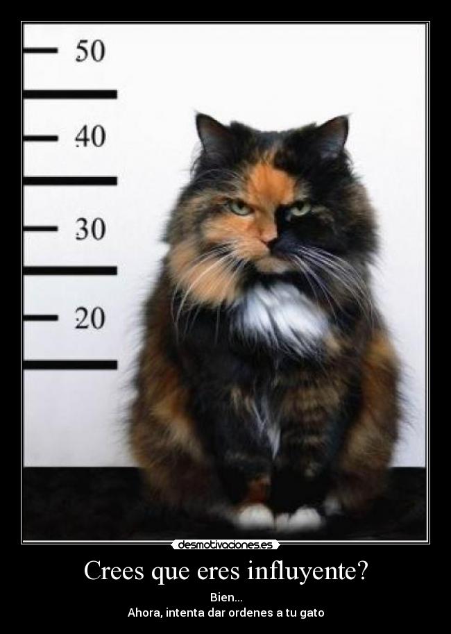 Crees que eres influyente? -