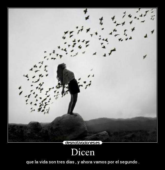 Dicen - 