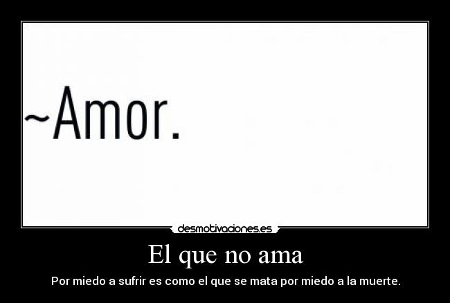 El que no ama - Por miedo a sufrir es como el que se mata por miedo a la muerte.