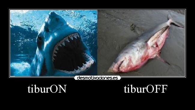 tiburON tiburOFF -