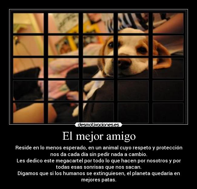 El mejor amigo -