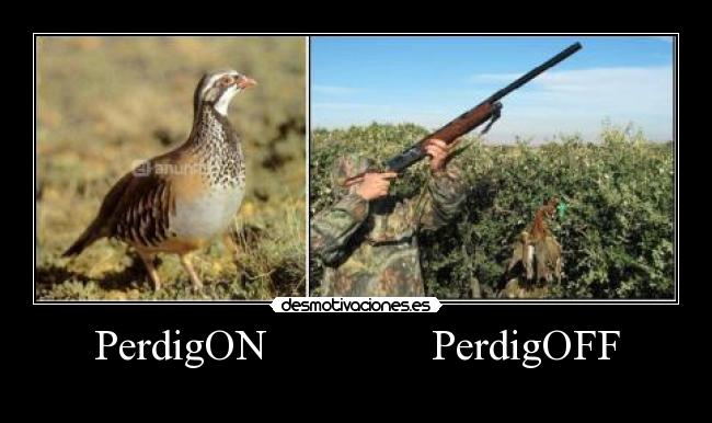 PerdigON PerdigOFF -