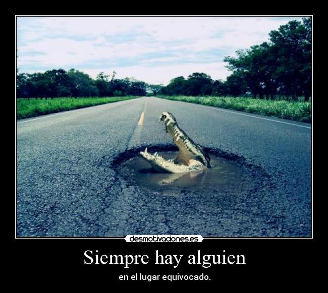 Siempre hay alguien -