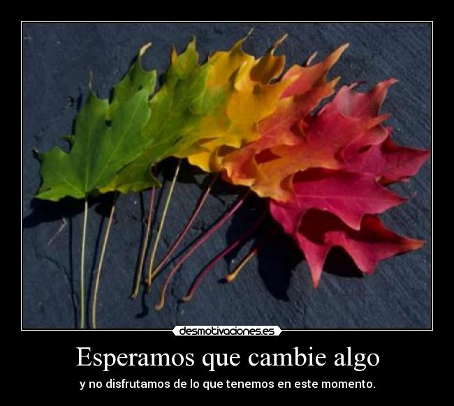 Esperamos que cambie algo -