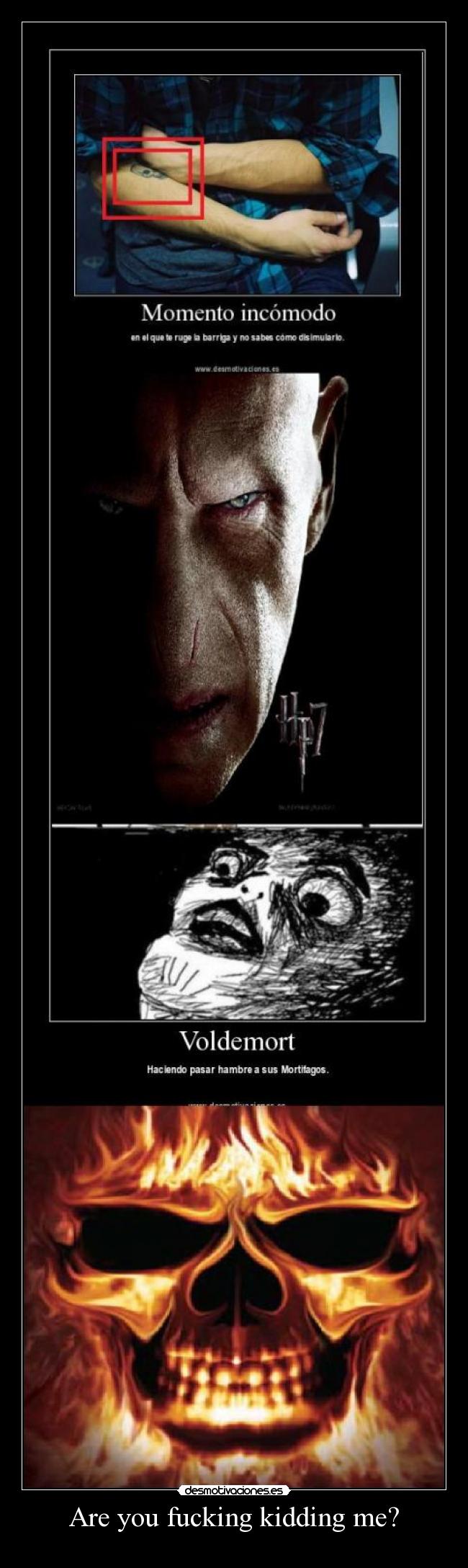 Are you fucking kidding me? - 