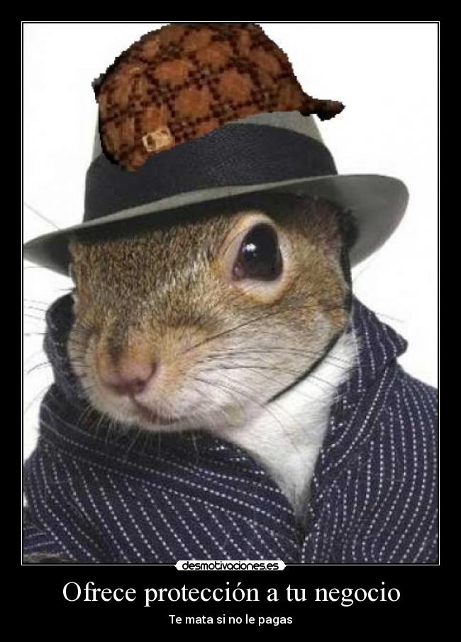 carteles las ardillas molan scumbag gangster desmotivaciones