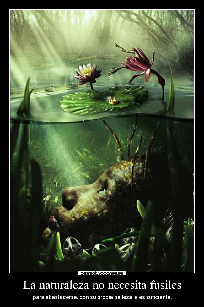 carteles naturaleza paperwings92 si para los que pillen puesto una trampa rana desmotivaciones