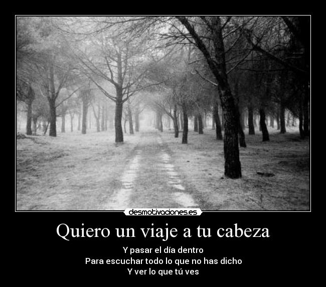 carteles miracle drug encanta cancion desmotivaciones