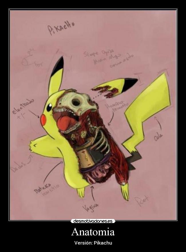 Anatomia - Versión: Pikachu