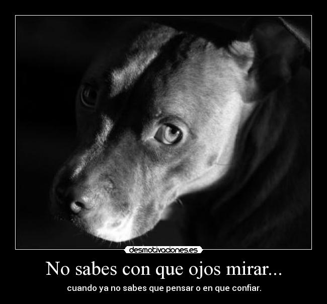 No sabes con que ojos mirar... - cuando ya no sabes que pensar o en que confiar.