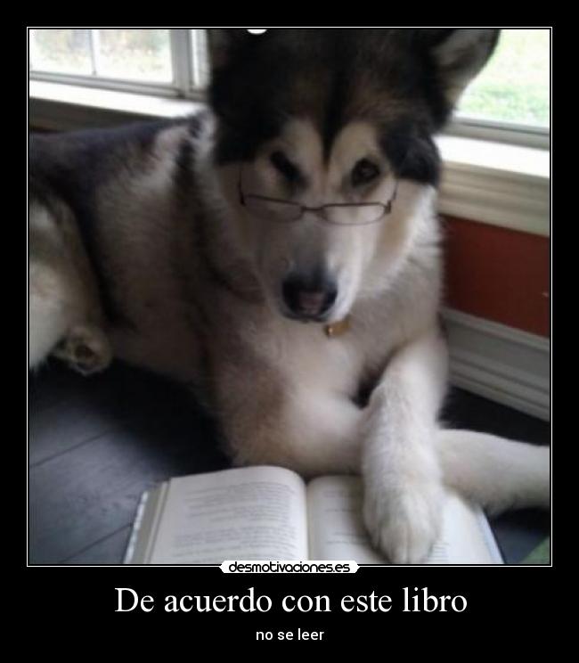 De acuerdo con este libro - 