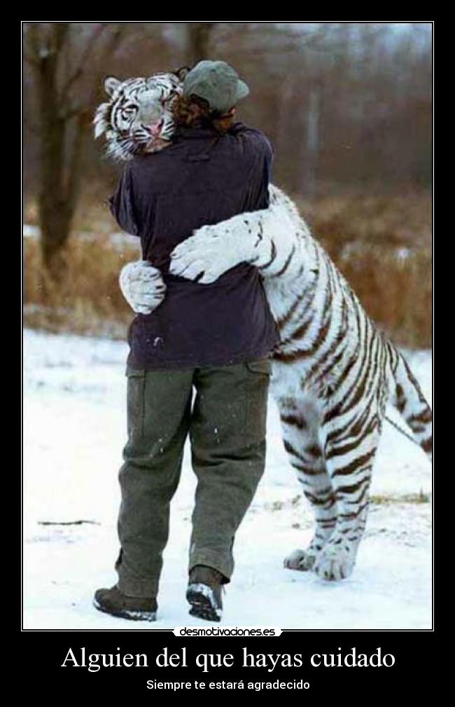 Alguien del que hayas cuidado - Siempre te estará agradecido