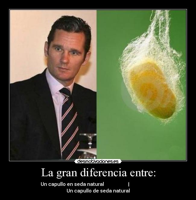 carteles clanornitorrinco clanelpenedecarniceroaburrido special pone burraco pene desmotivaciones