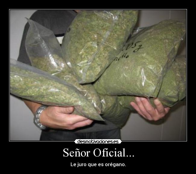 carteles lorenzotantan desmotivaciones