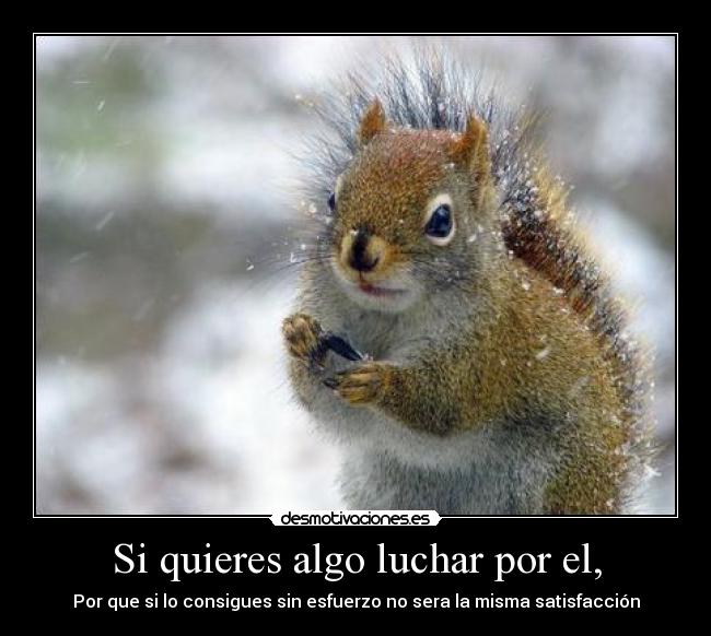 Si quieres algo luchar por el, - Por que si lo consigues sin esfuerzo no sera la misma satisfacción