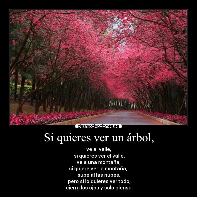 Si quieres ver un árbol, -