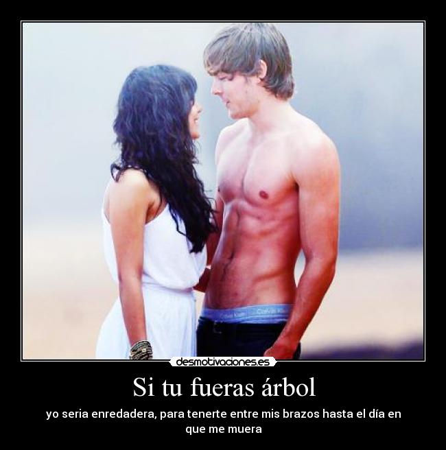 carteles treintadeldoce meses teamo carino desmotivaciones