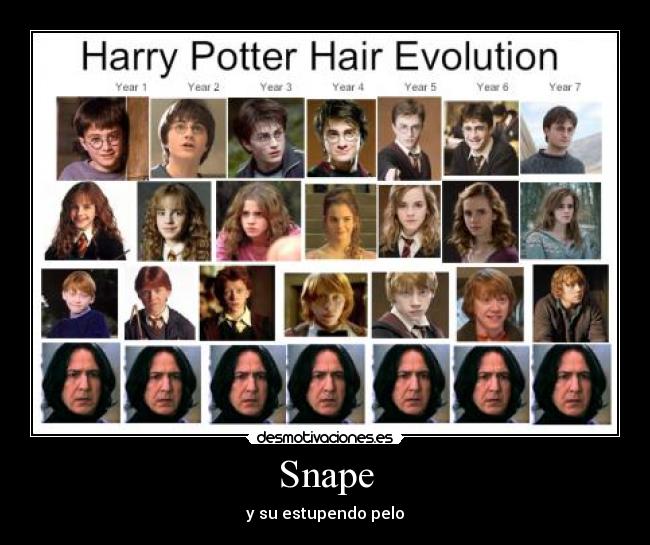 Snape - 