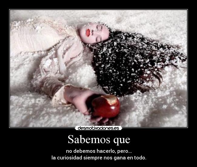 Sabemos que - no debemos hacerlo, pero...
la curiosidad siempre nos gana en todo.