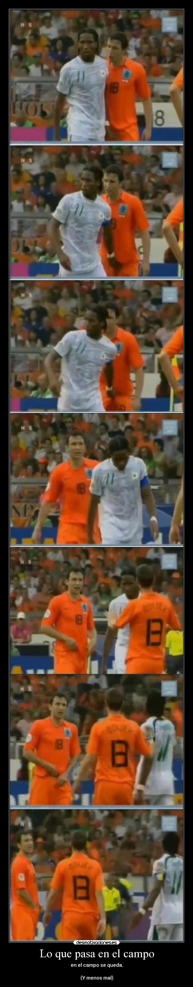 Lo que pasa en el campo -