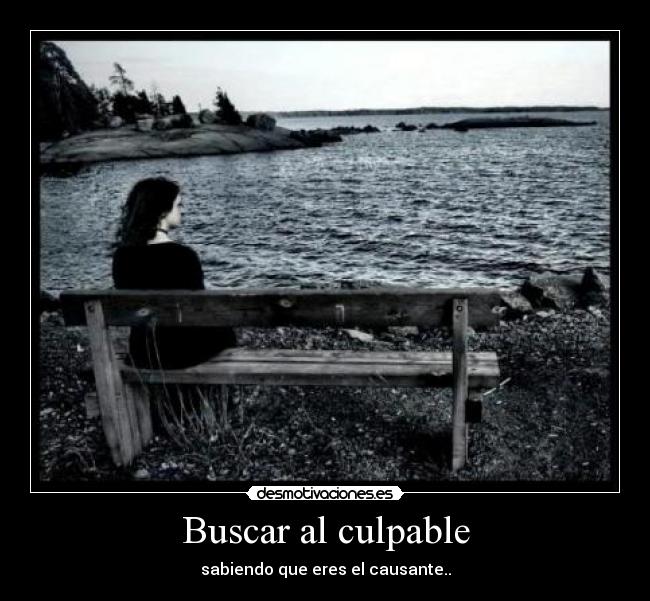 carteles yankaa desmotivaciones