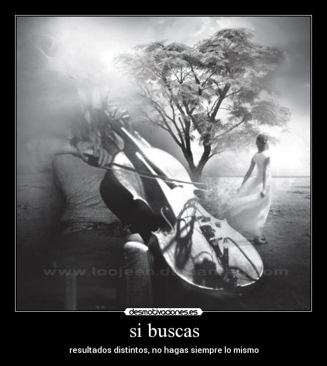 si buscas -