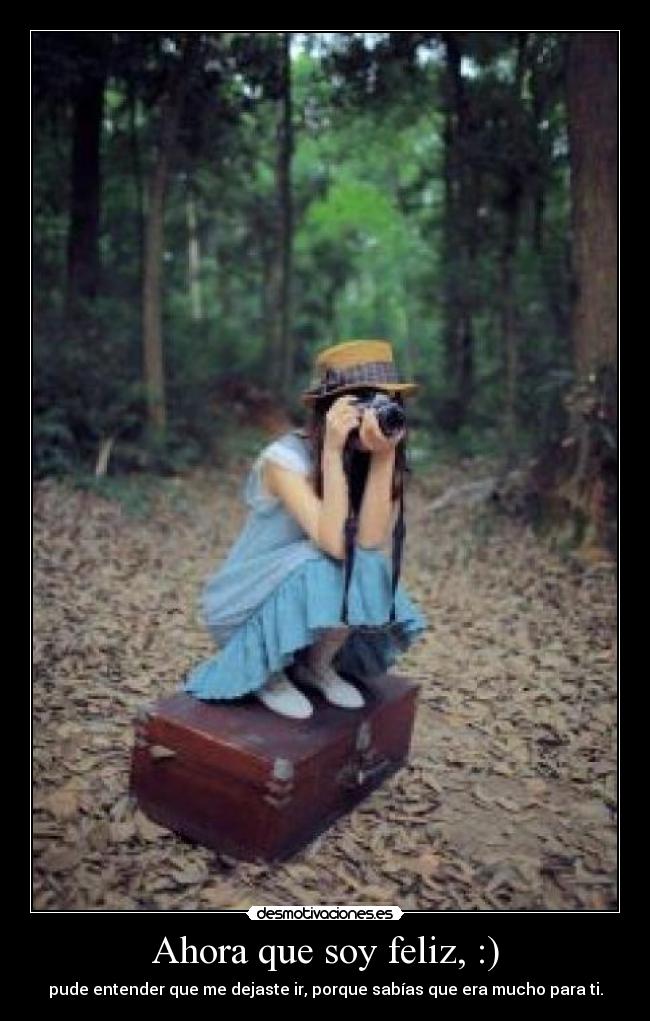 carteles soriis desmotivaciones