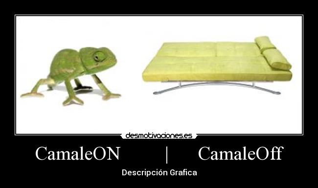 CamaleON | CamaleOff -
