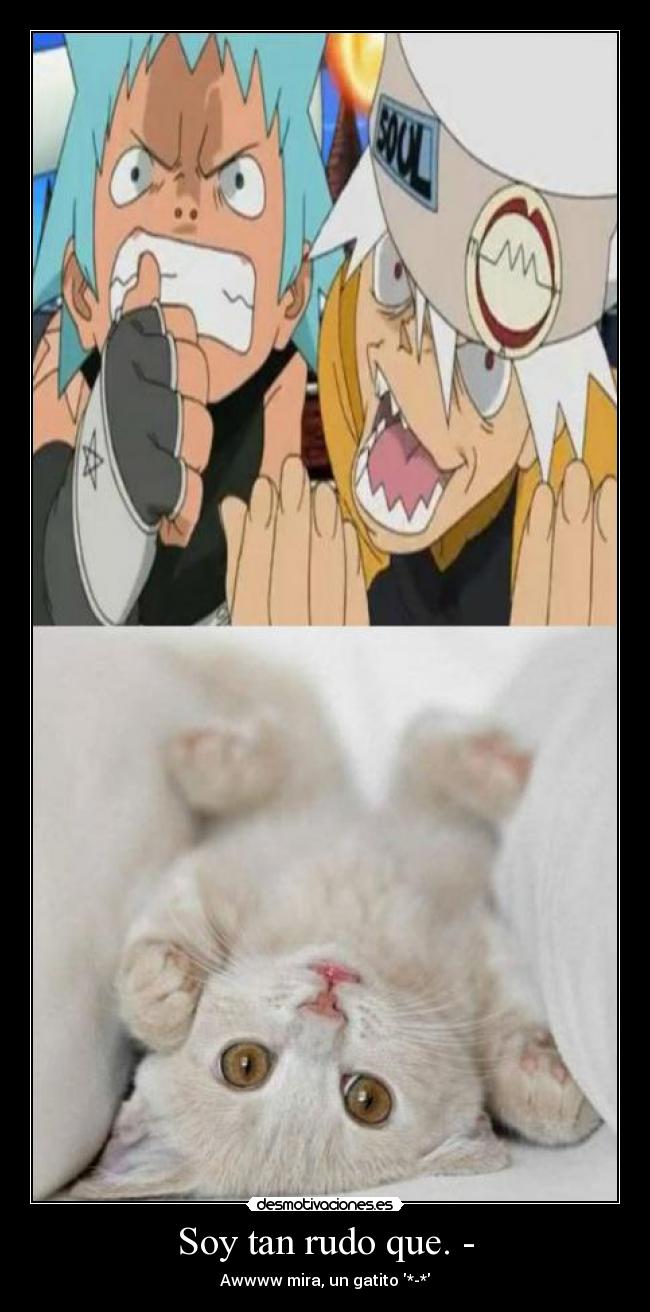 carteles rudo gatosneko desmotivaciones