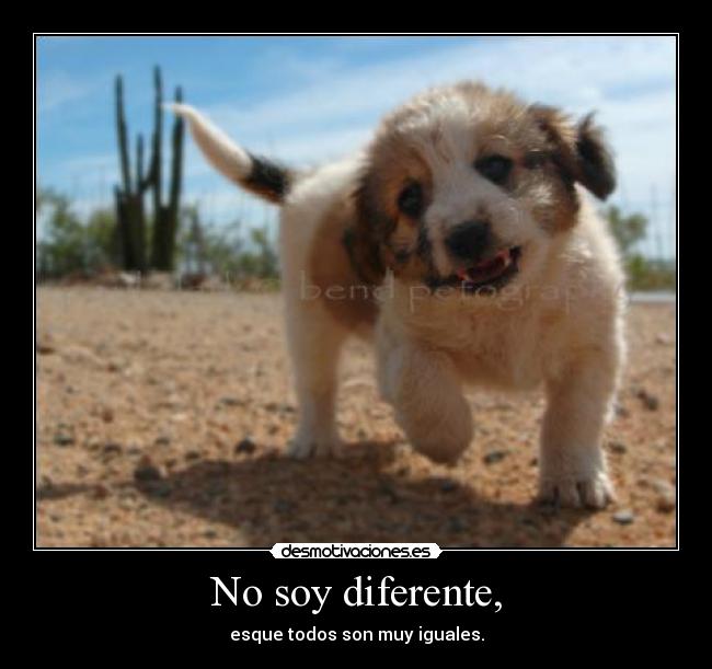 No soy diferente, -