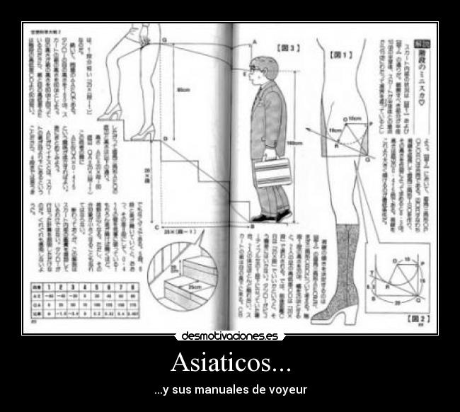 Asiaticos... - ...y sus manuales de voyeur