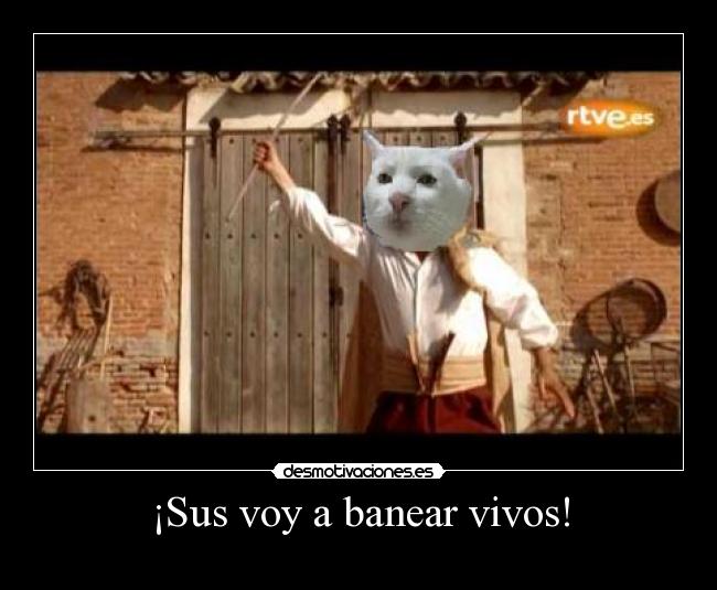 ¡Sus voy a banear vivos! -